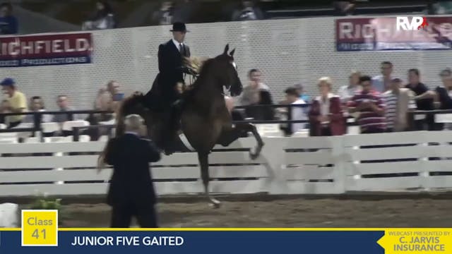 2015 RC - Class 41 Junior Five Gaited 