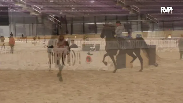 CC26 - Class 29 - USEF English Pleasu...