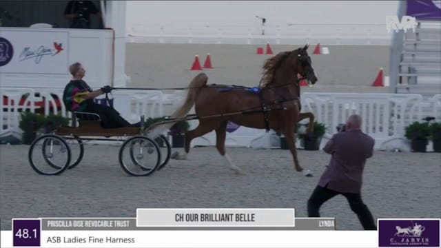 2022 Ocala International Horse Show -...