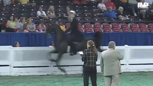 2010 World's Championship Horse Show ...