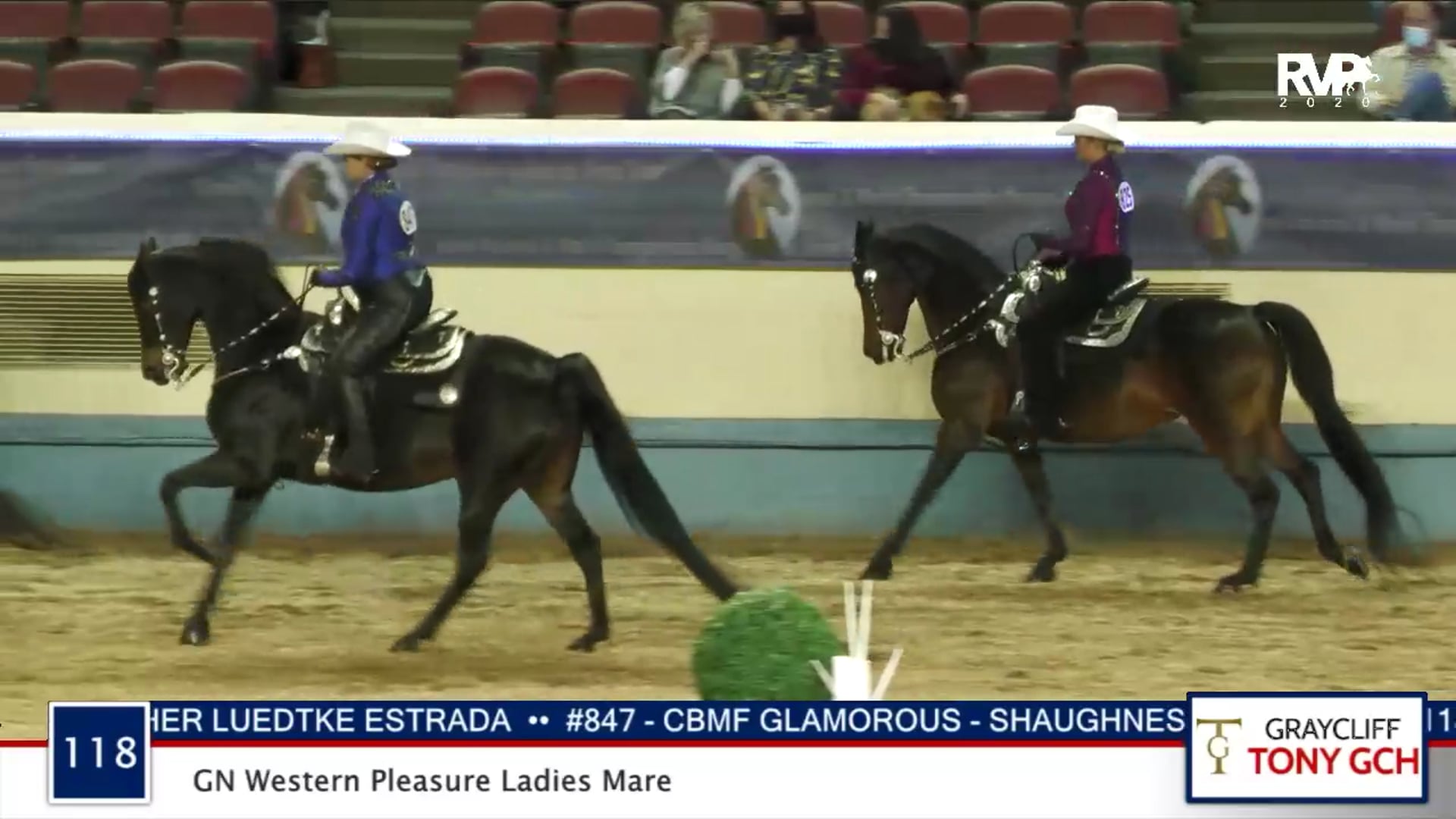 2020 MGN - 118 GN Western Pleasure Ladies Mare