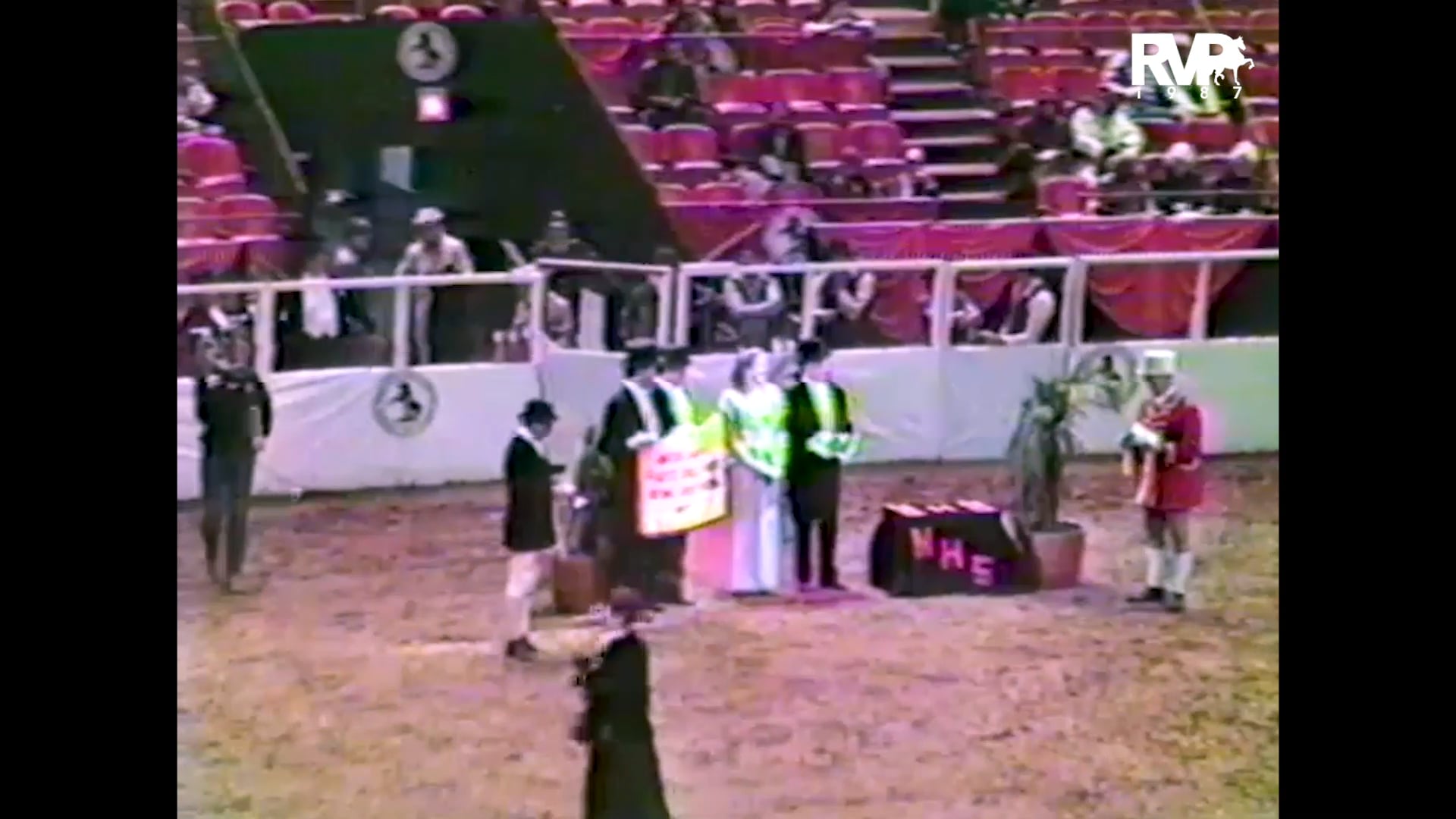 1987 New York National @ Madison Square Garden - Five Gaited Grand Championship - CH Callaway's Caper and Jack Nevitt, up