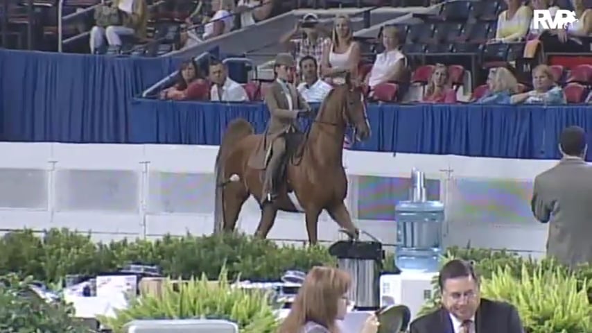 2010 World's Championship Horse Show Class 75 ASB Junior Exhibitor Three Gaited Country Pleasure Rider 13 & Under