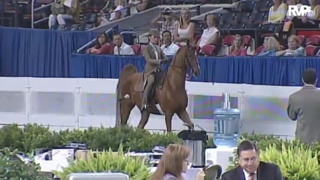 2010 World's Championship Horse Show ...