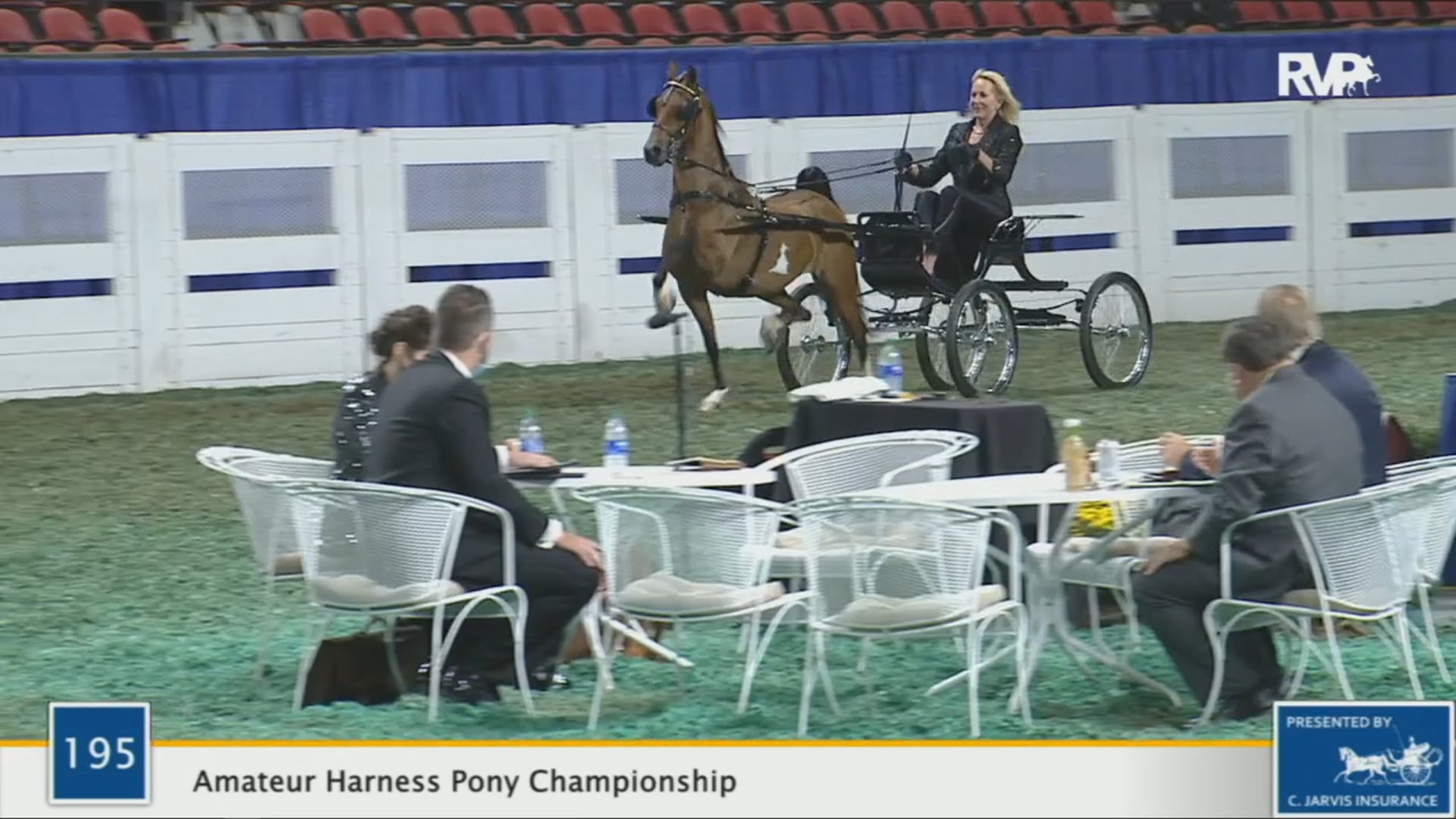 WCHS 2020 Class 195 - Amateur Harness Pony Championship