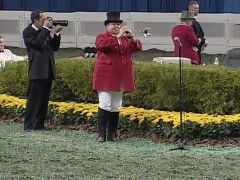 2008 WCHS Class 207 Amateur Hackney P...