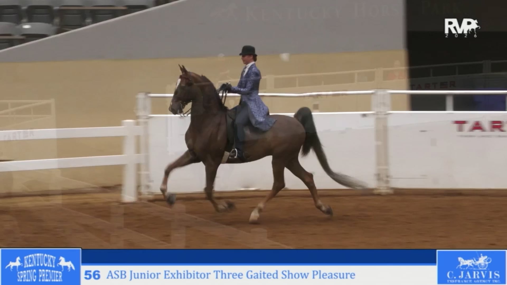 KYSP26 - Class 56 - ASB Jr Exhibitor Three Gaited Show Pleasure