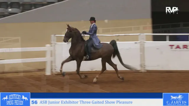 KYSP26 - Class 56 - ASB Jr Exhibitor ...