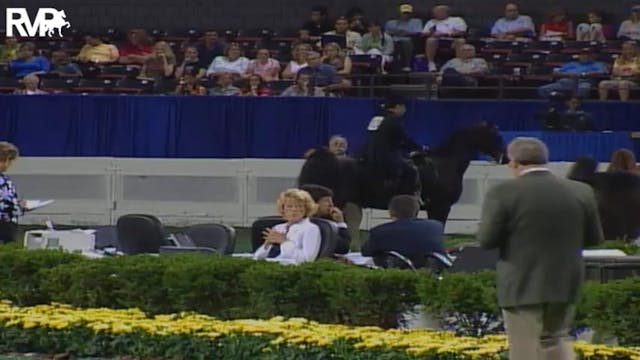 2004 World's Championship Horse Show ...