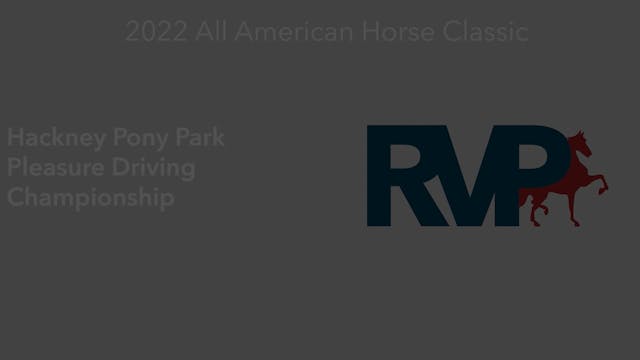 AAC22 - Class 96 - Hackney Pony Park ...