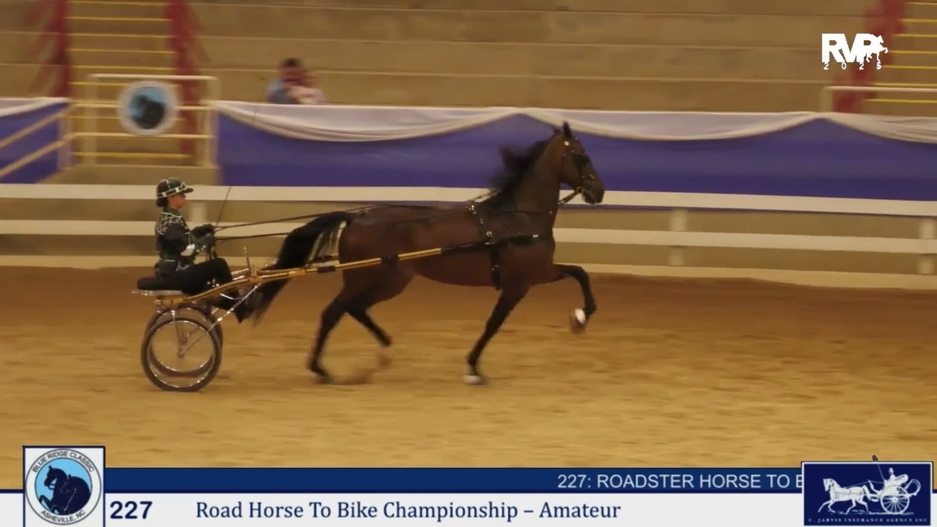 BRC25 - Class 227 - Roadster Horse To Bike Championship - Amateur
