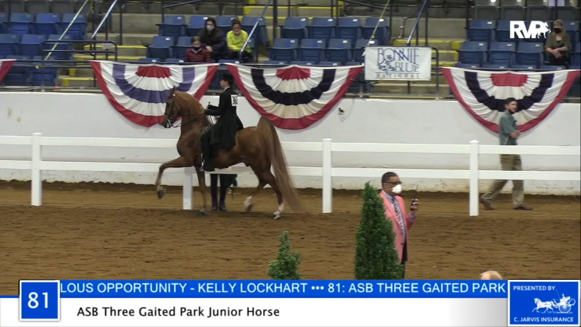 2020 BB - Class 81 ASB Three Gaited Park Junior 
Horse