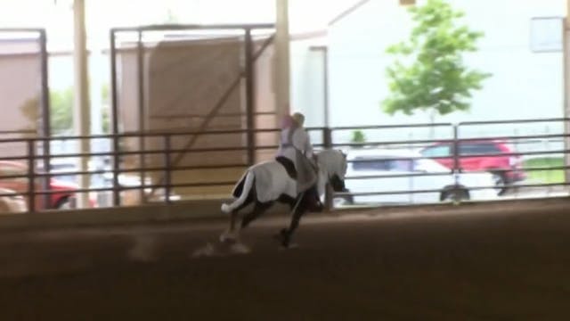 MGN16 - Sport Horse 2 - Saturday Afte...