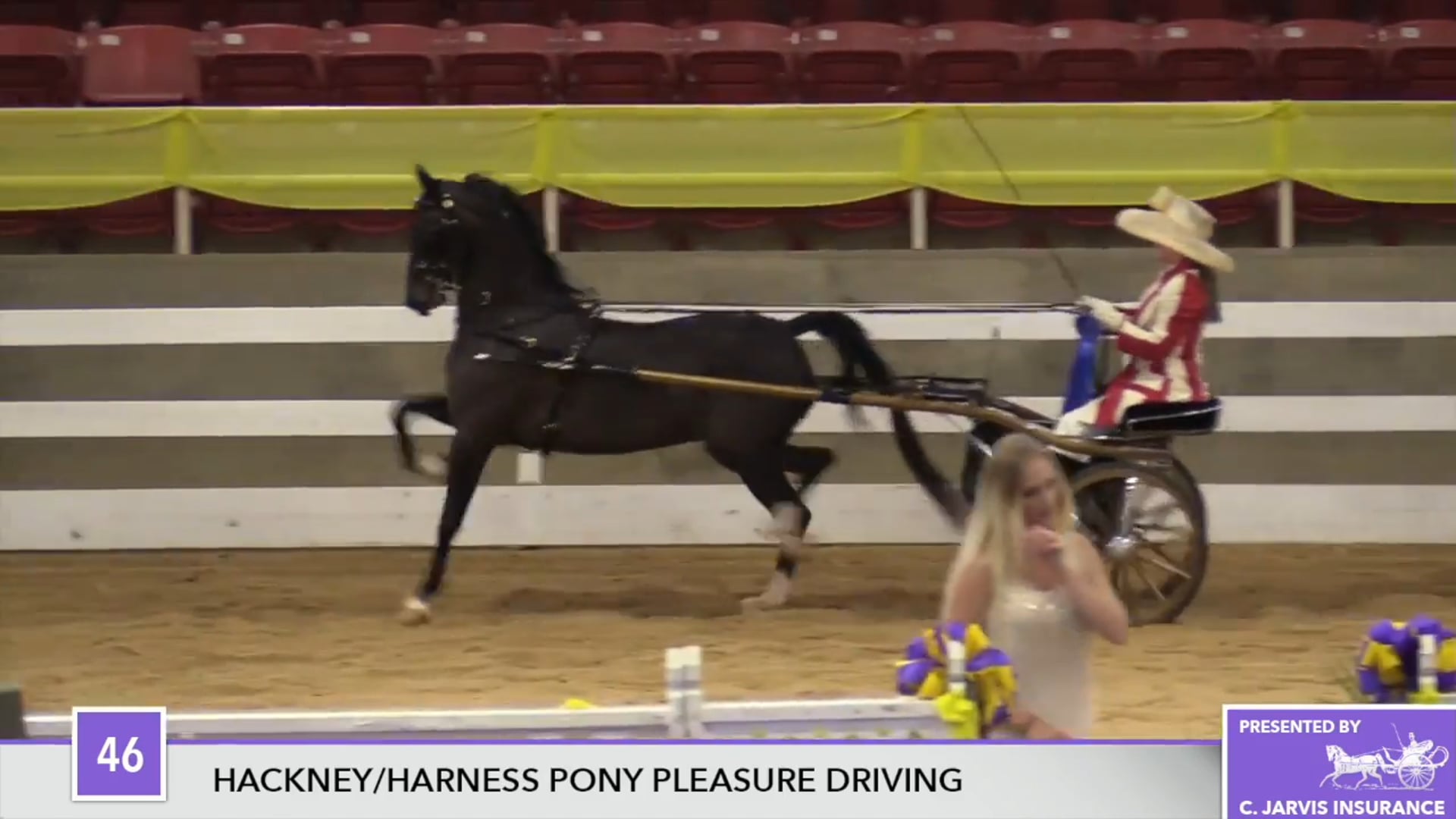 ALCB17 - Heartland Sugar Plum 