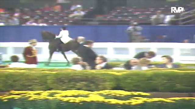 1992 WCHS Class 3 ASB Adult Three Gai...