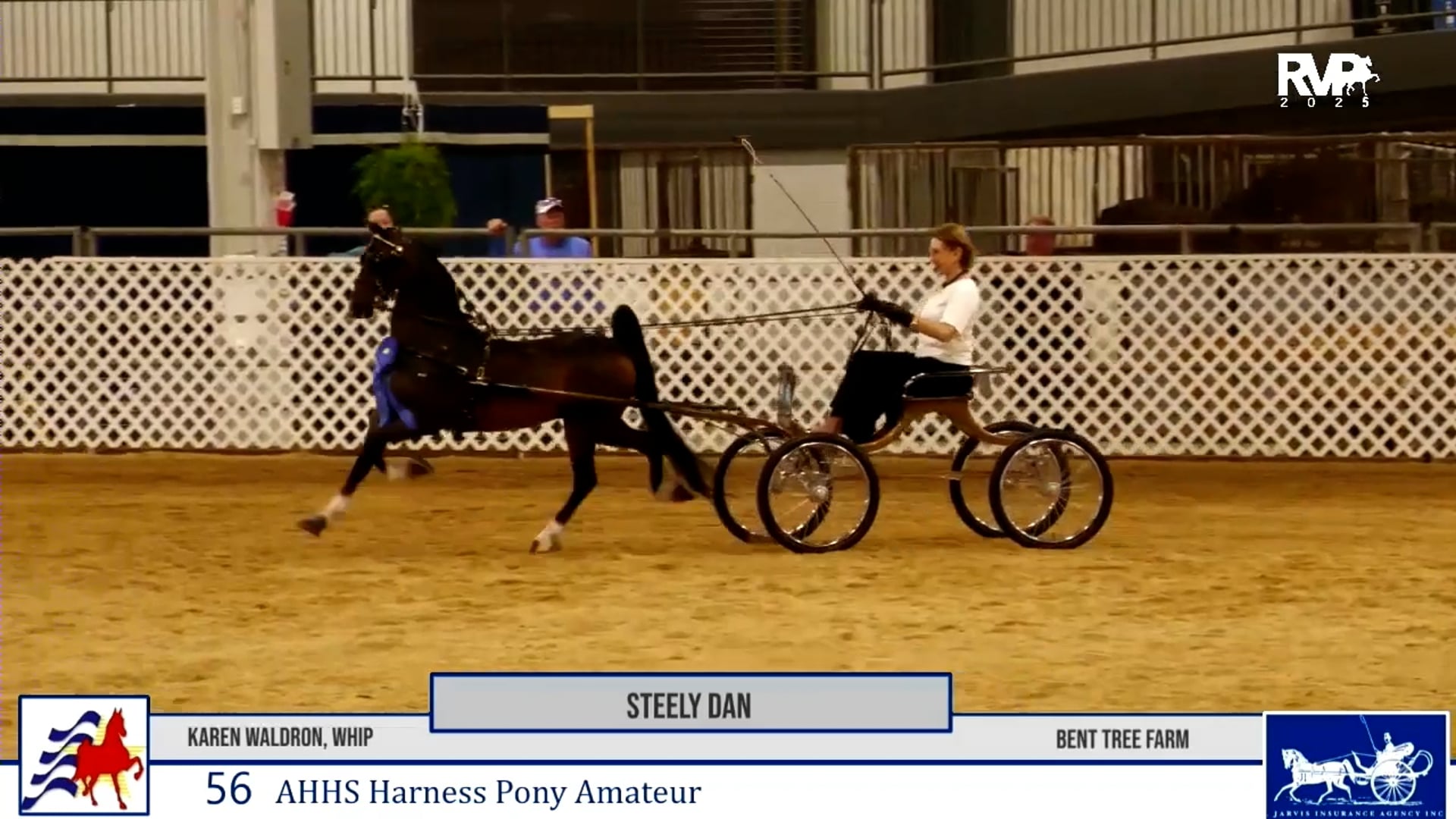 2025 All American Classic Horse Show - Thursday Morning 