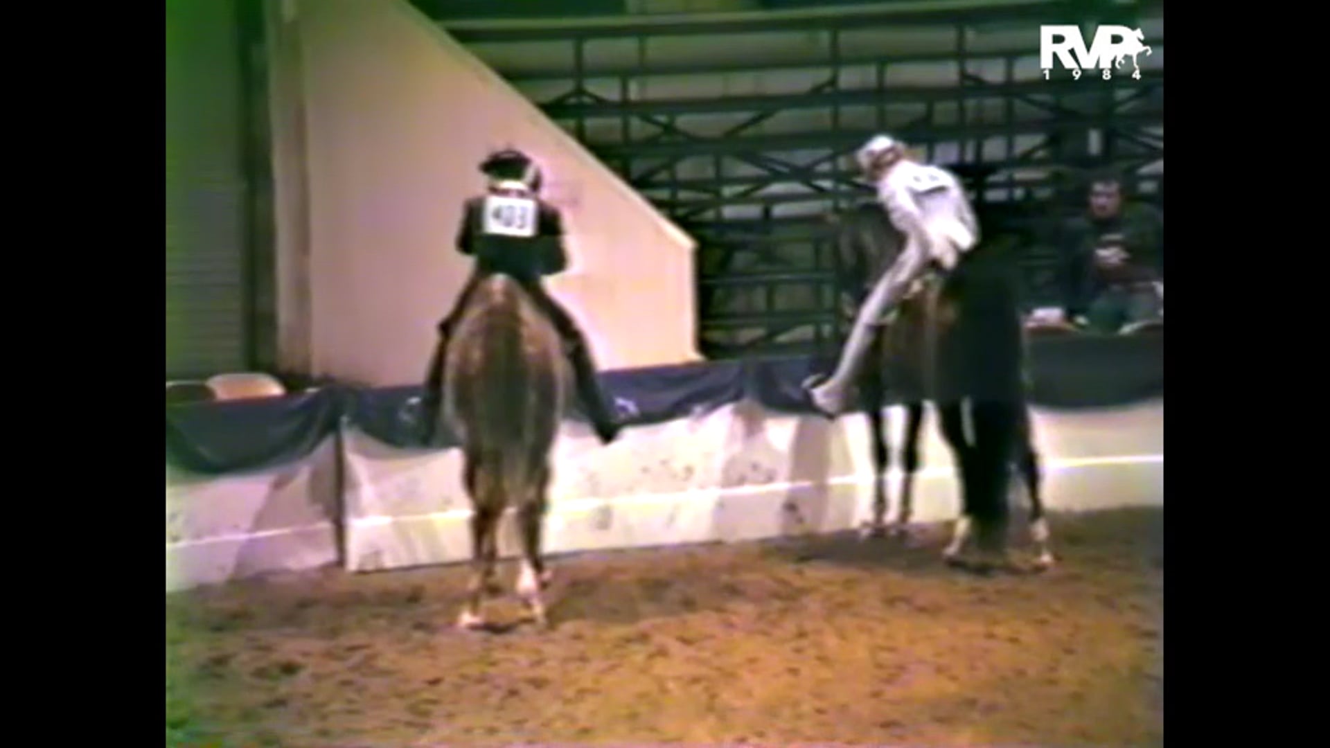 1984 PA - Five Gaited Mare Stake - CH Empire's Rhythm and Pat Cole, up