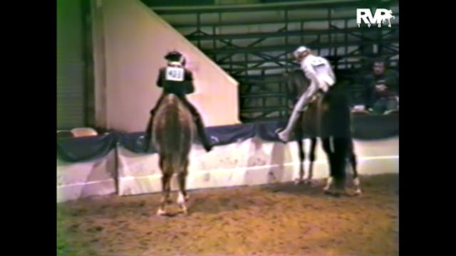 1984 PA - Five Gaited Mare Stake - CH...