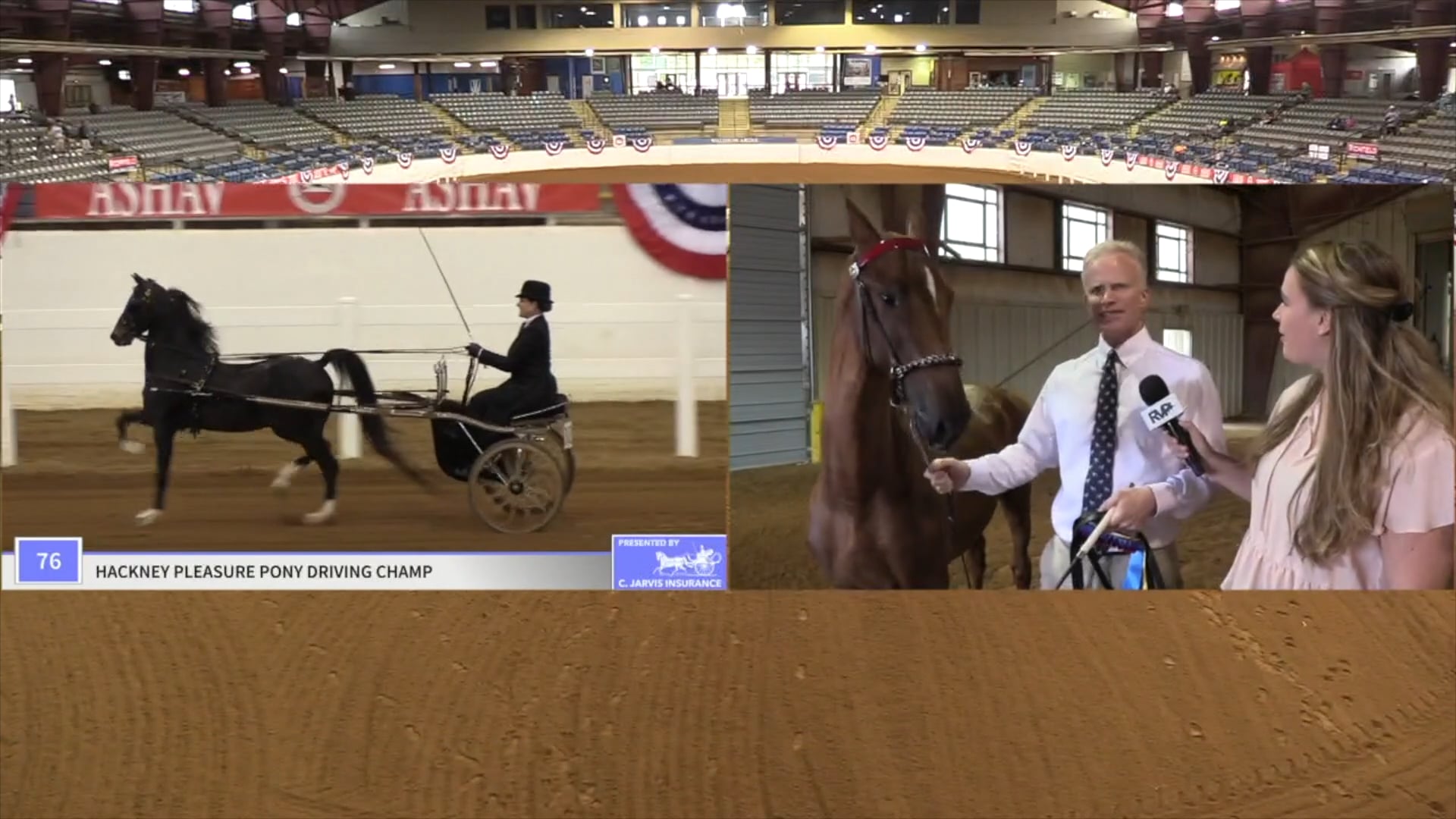 ASHAV19 - Class 75 - Walterway's Why Not Me