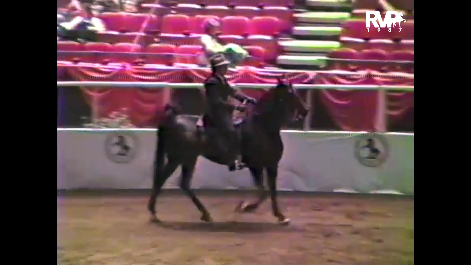1987 New York National @ Madison Square Garden - Class 17 $750 Five Gaited Mare Stake - Ch Callaway's Caper and Jack Nevitt, up