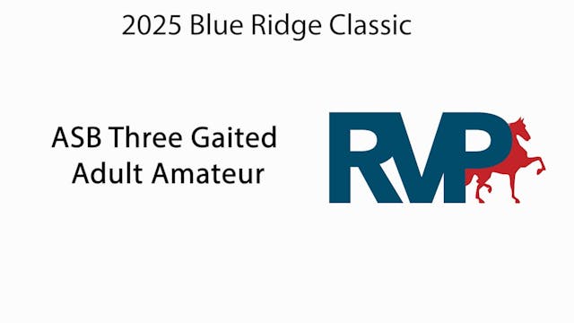 BRC25 - Class 90 - ASB Three Gaited A...