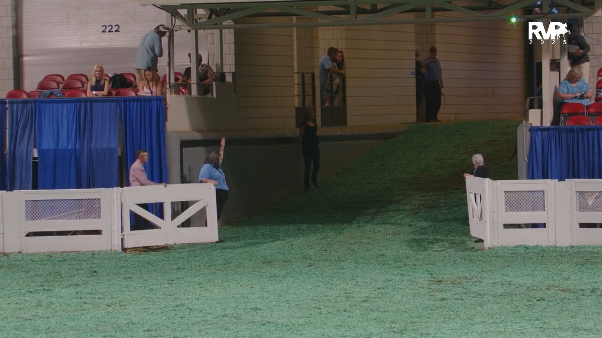 WCHS25 - Class 6 - Kentucky County Fair Roadster Pony Championship