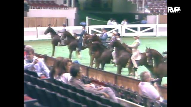 1989 WCHS Class 39 Equitation Open Ri...