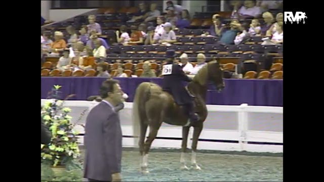 1999 WCHS - Class 84 ASB Three Gaited...