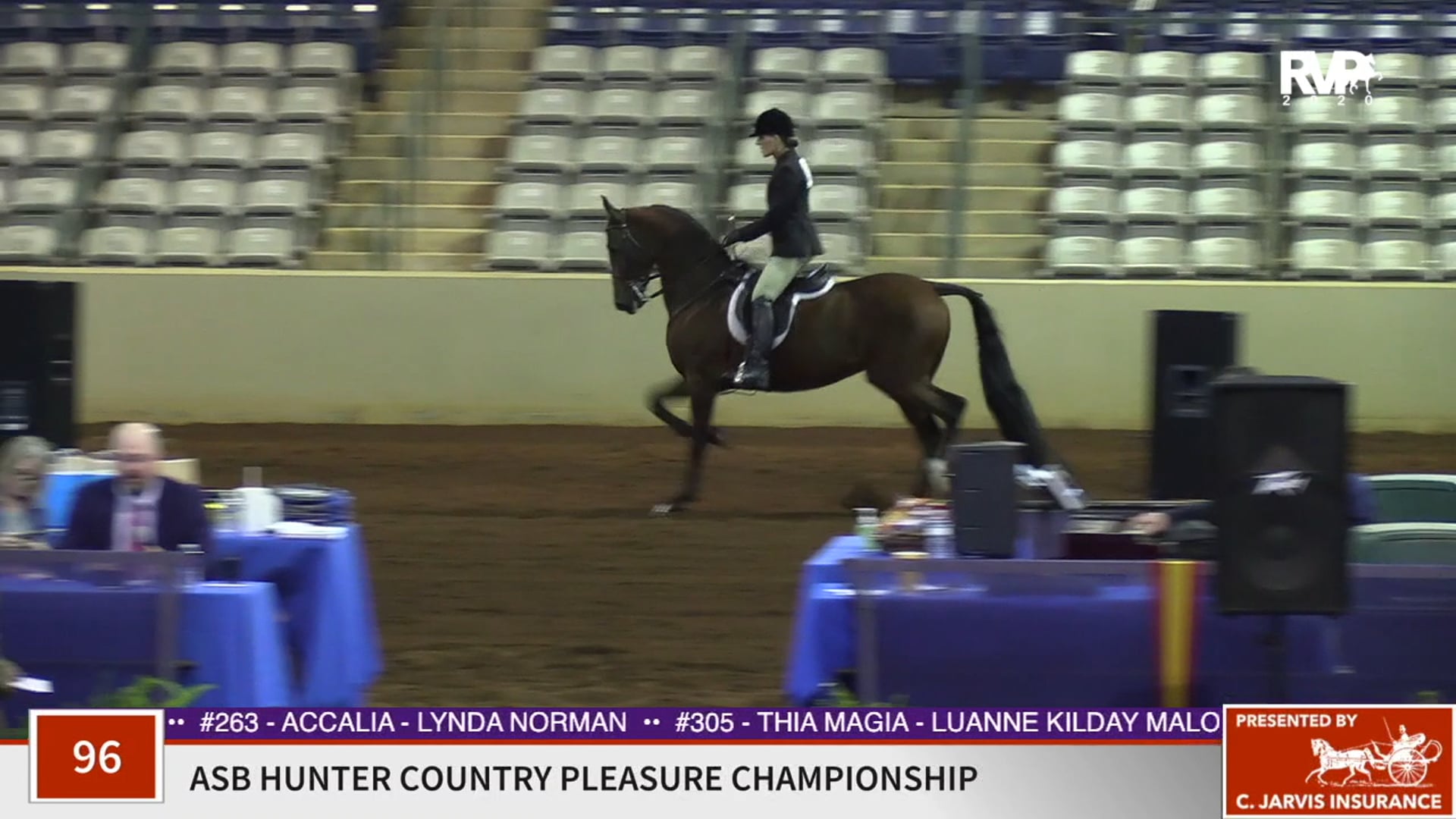 2020 SSFF - Class 96 ASB Hunter Country Pleasure
Championship