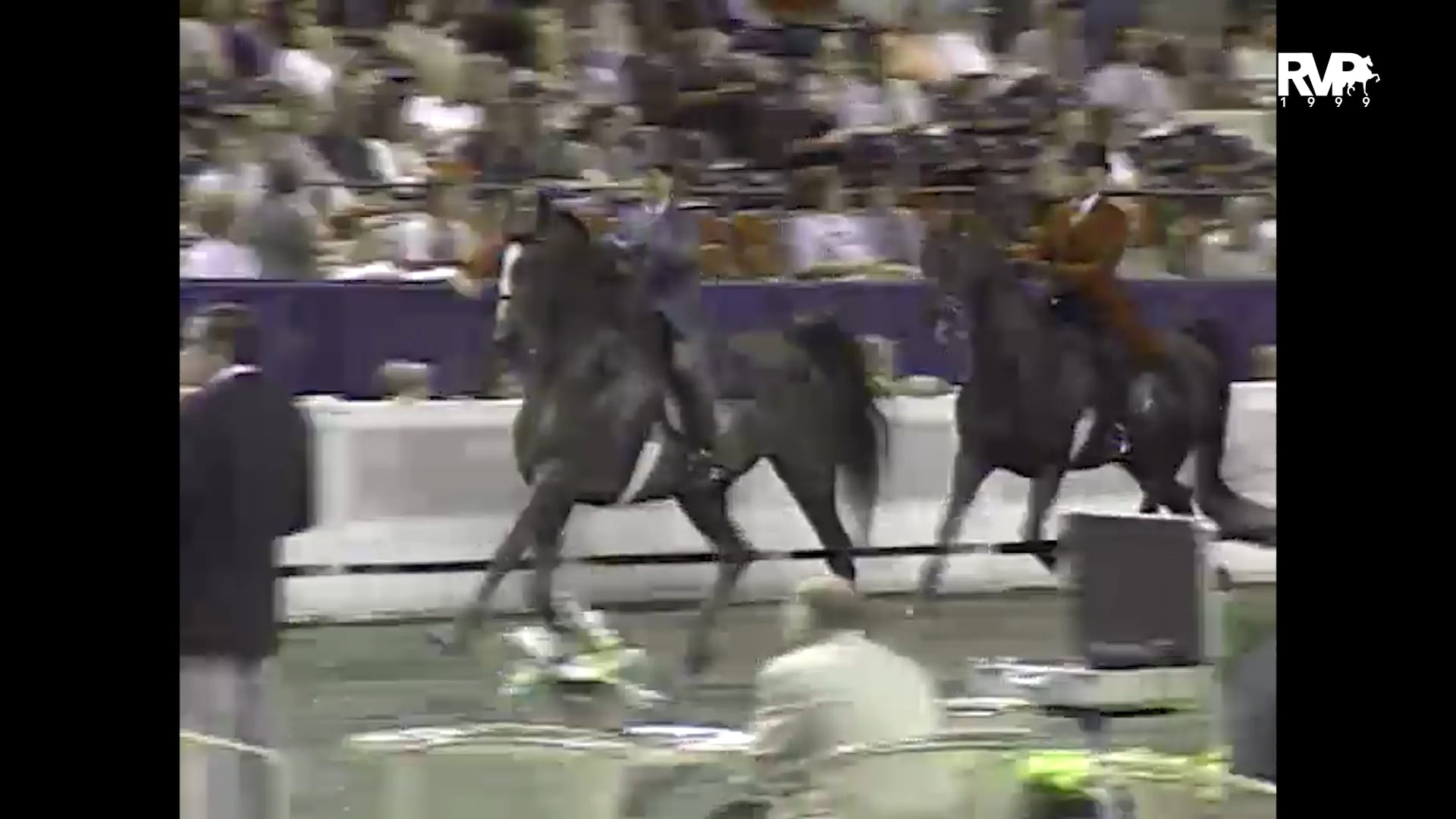 1999 WCHS - Class 204 ASB Three Gaited Country Pleasure Adult Championship