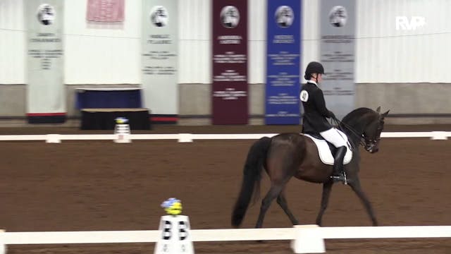 MGN19 - Class 520 - GN Dressage Third...