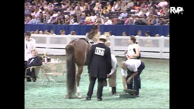 1998 WCHS - Class 108 Five Gaited Mar...