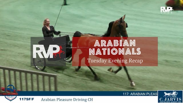 AN25 - Tuesday Evening Recap