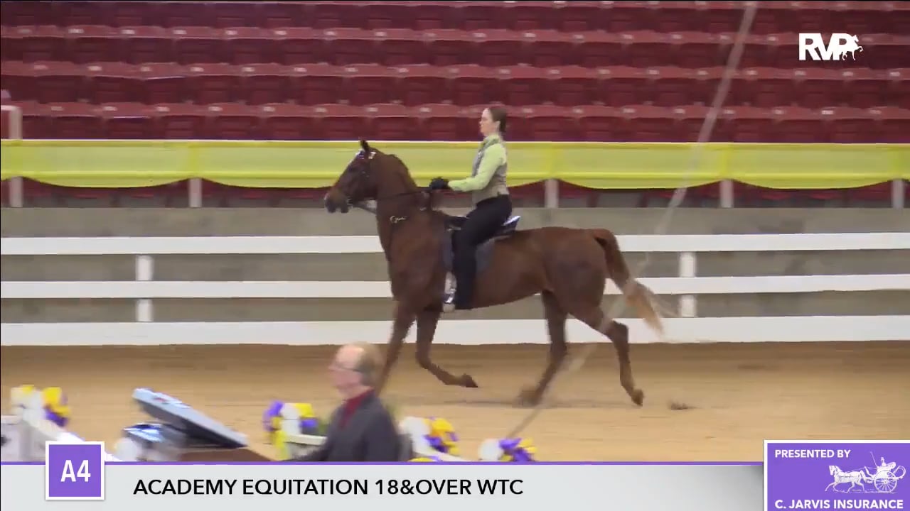 ALCB17 - Saturday Academy