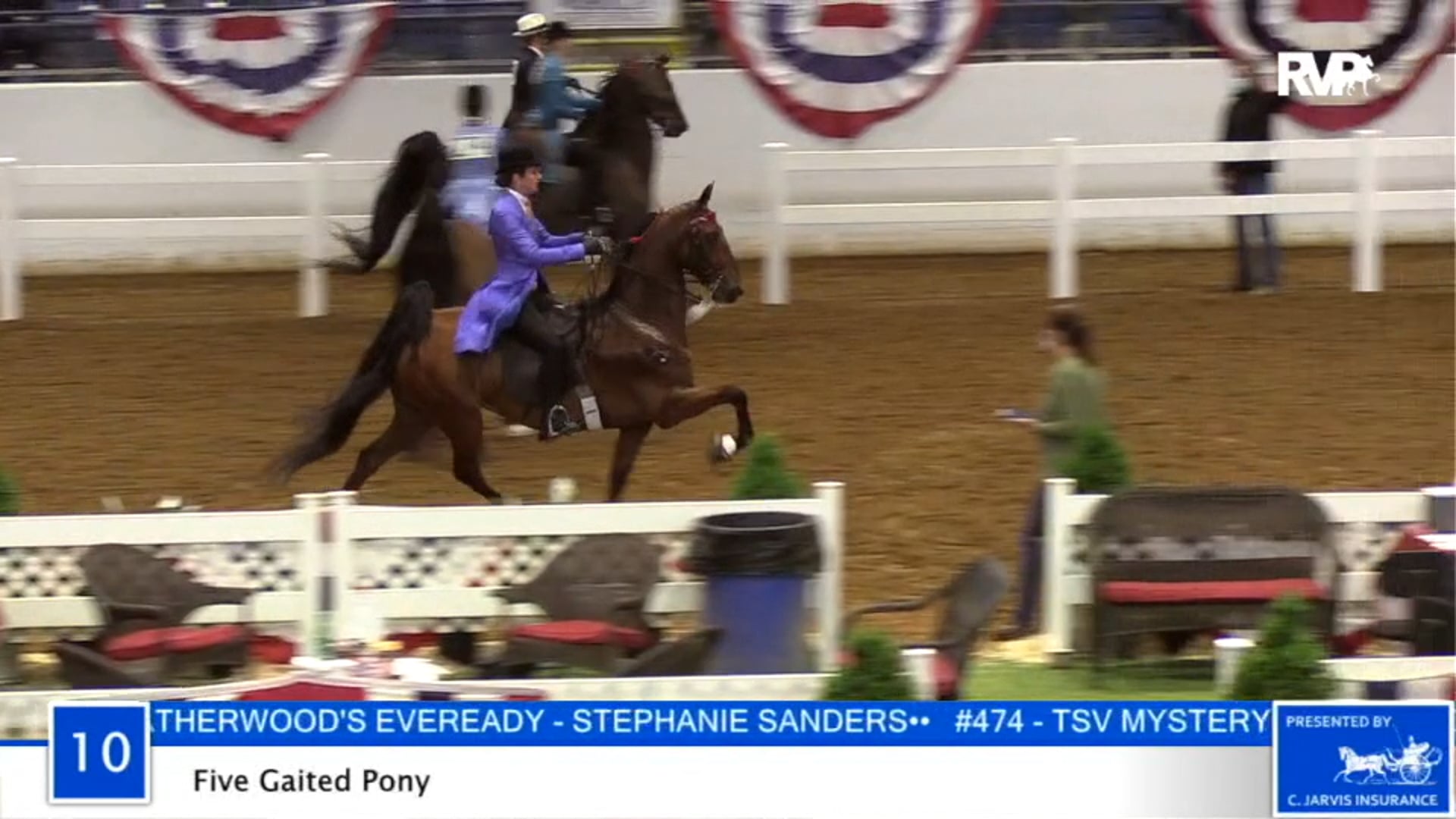 2020 BB - Class 10 Five Gaited Pony