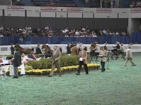 2008 WCHS Class 130 Open Three Year O...