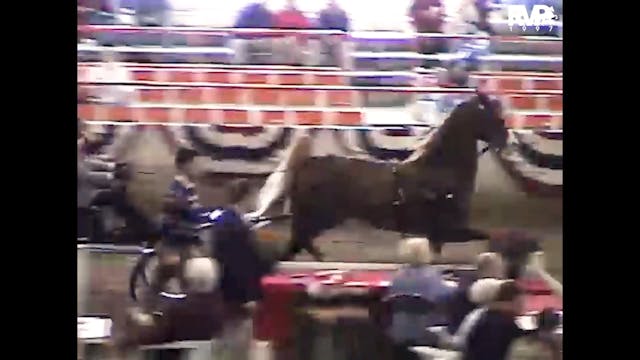 1997 Wisconsin Futurity - UPHA Fine H...