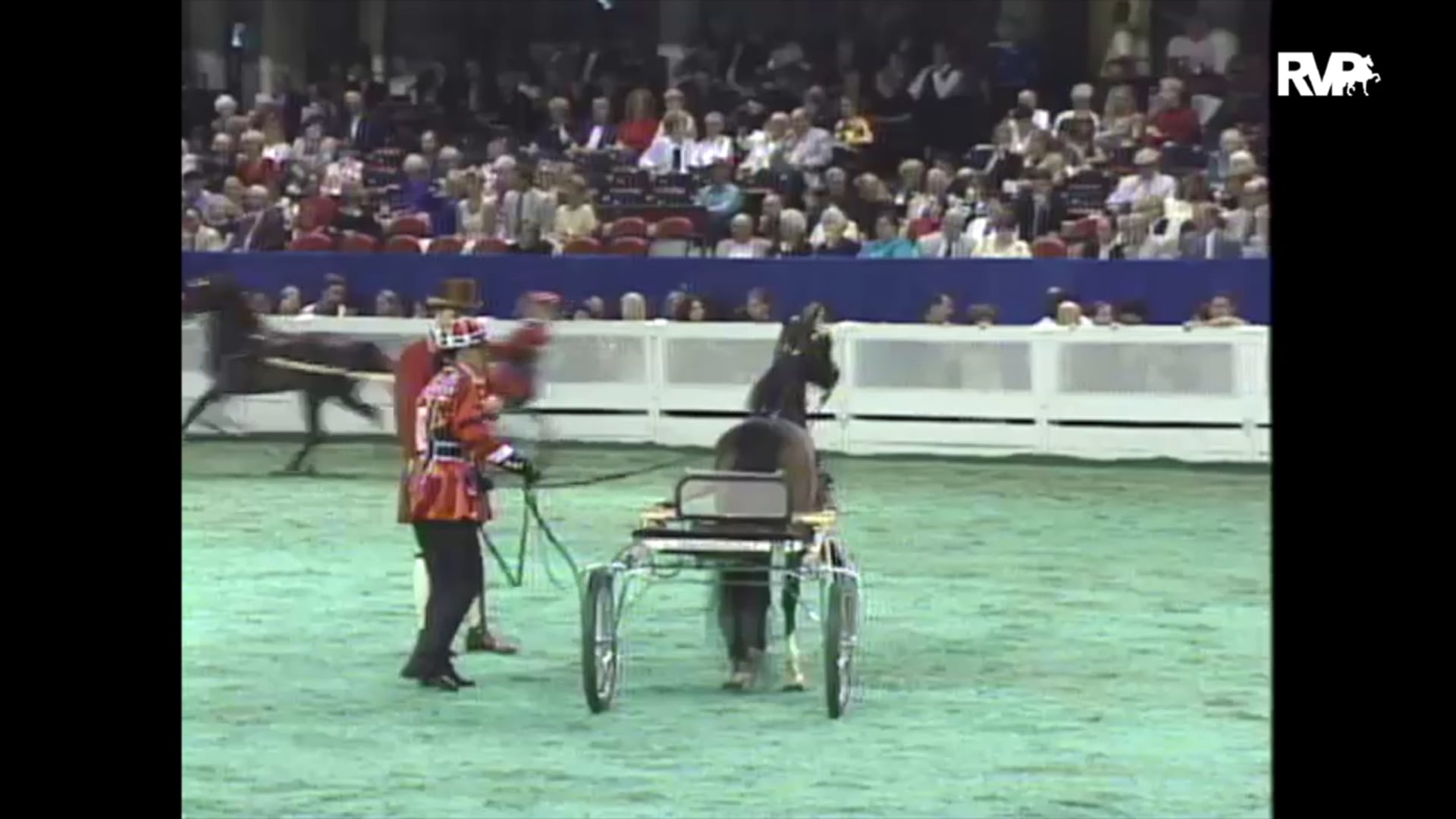 1997 WCHS - Class 197 Roadster Pony Championship