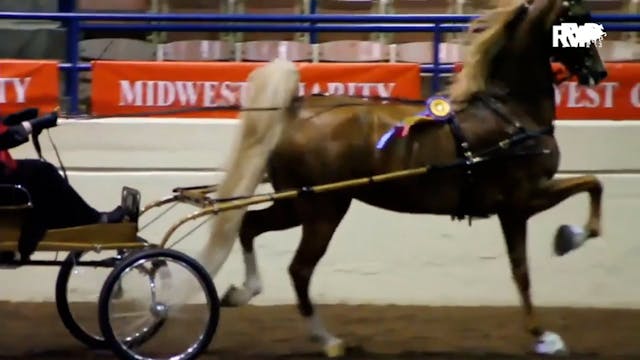 2023 American Royal - Wednesday After...