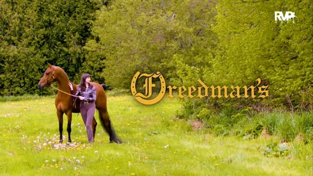 2025 Arabian Nationals - Friday Eveni...