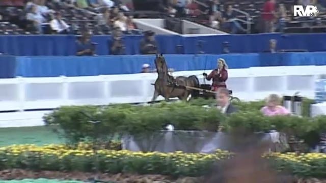 2010 World's Championship Horse Show ...