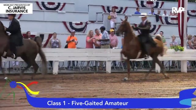2015 SHS - Class 1 Five Gaited Amateur 