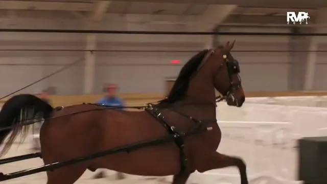 CC26 - Class 51 - Morgan Pleasure Dri...