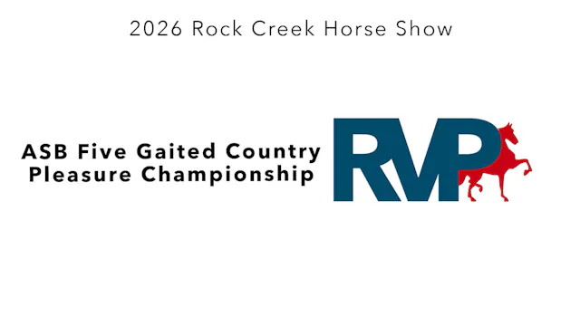 RC26 - Class 79 - ASB Five Gaited Cou...