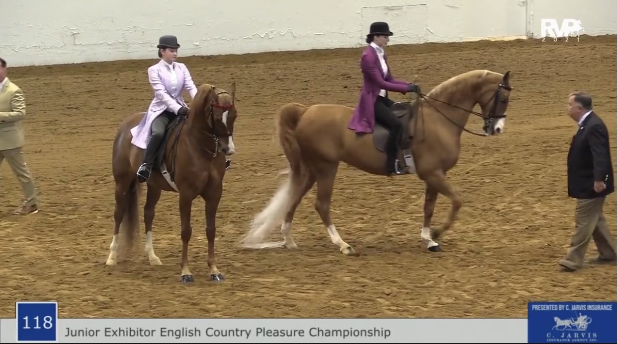 BB21 - Class 118 - ASB English Country Pleasure Junior Exhibitor Championship