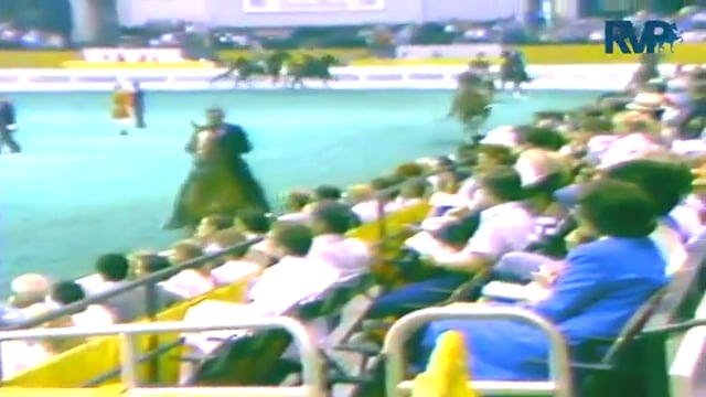 1987 WCHS Class 11 Kentucky County Fa...