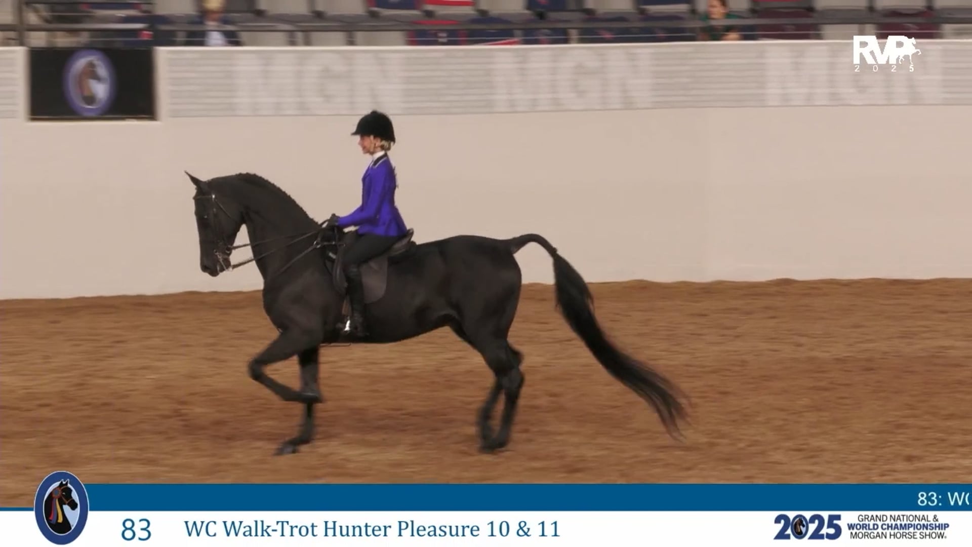 MGN25 - Class 83 - WC Walk-Trot Hunter Pleasure 10 & 11