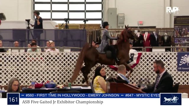 AAC23 - Class 161 - ASB Five Gaited J...