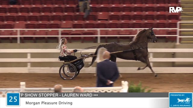 2020 ASF - Class 25 Morgan Pleasure D...