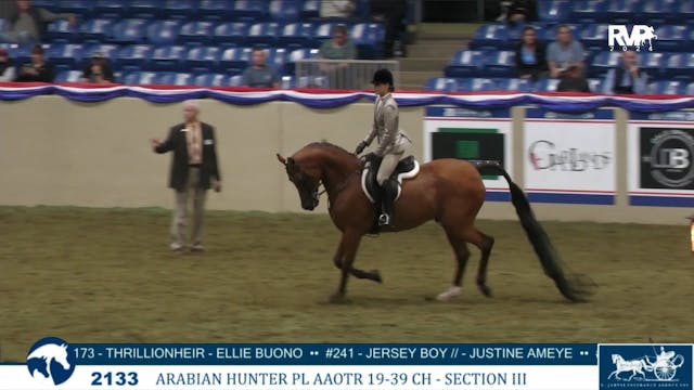 AN24 - Class 2133C - Arabian Hunter P...